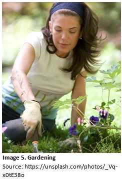 gardening1