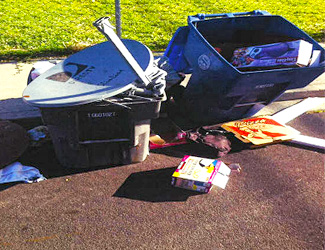 Waste Bin and Satellite Dish