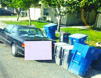 Waste bins and car